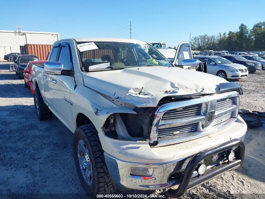 2010 Dodge Ram 1500 Slt/Sport/Trx VIN: 1D7RV1GT5AS228036 Lot: 40555603