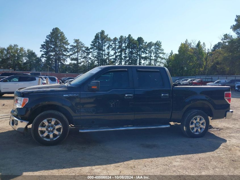 1FTFW1CFXEKE58834 2014 Ford F-150 Xlt