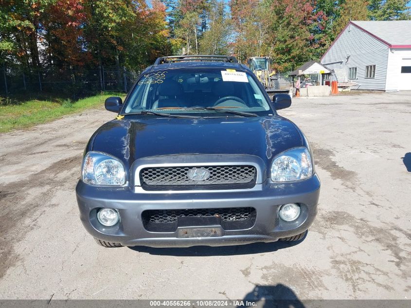 2004 Hyundai Santa Fe Gls/Lx VIN: KM8SC13E84U816381 Lot: 40556266