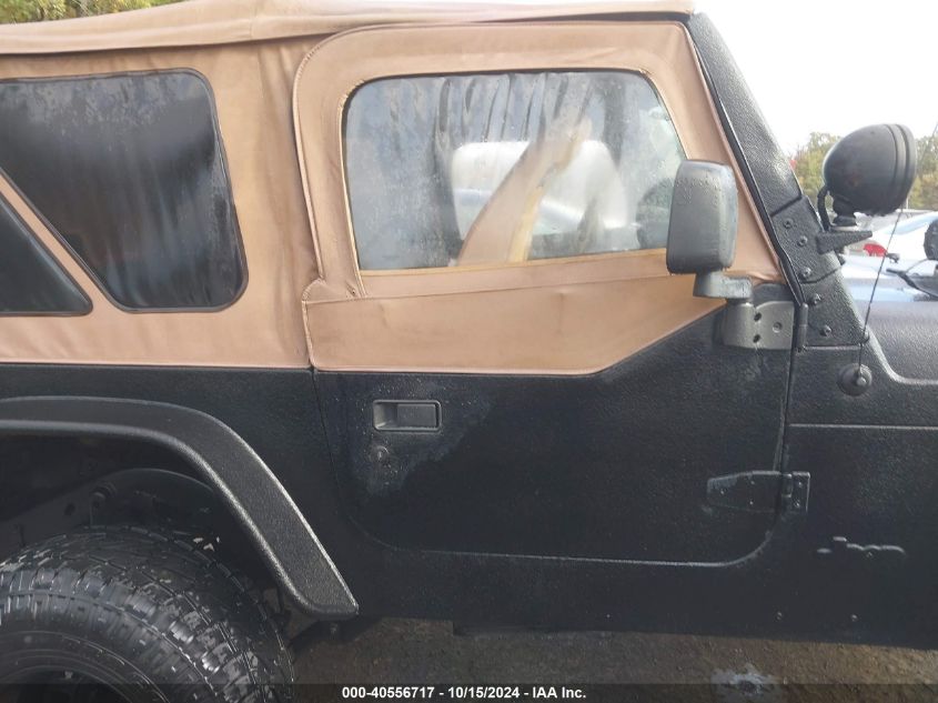 2003 Jeep Wrangler Se VIN: 1J4FA29143P331250 Lot: 40556717