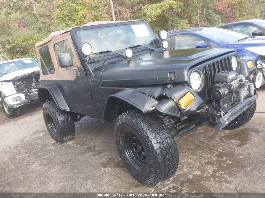 2003 Jeep Wrangler Se VIN: 1J4FA29143P331250 Lot: 40556717