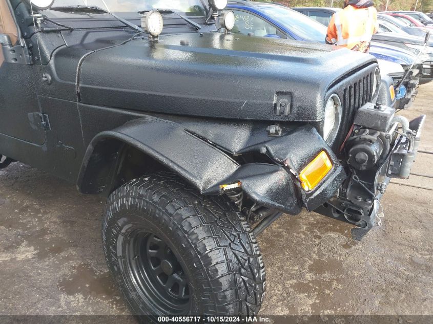 2003 Jeep Wrangler Se VIN: 1J4FA29143P331250 Lot: 40556717