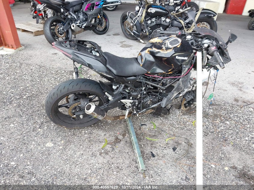 2024 KAWASAKI EX500 451 CC(VIN: ML5EXGG19RDA13034