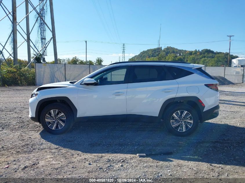 2024 Hyundai Tucson Hybrid Blue VIN: KM8JBCD11RU217478 Lot: 40557820