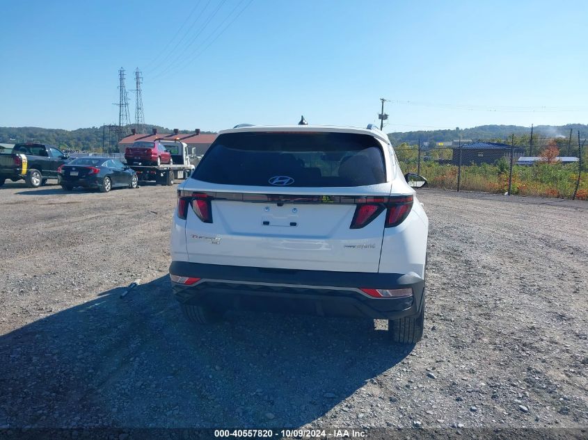 2024 Hyundai Tucson Hybrid Blue VIN: KM8JBCD11RU217478 Lot: 40557820