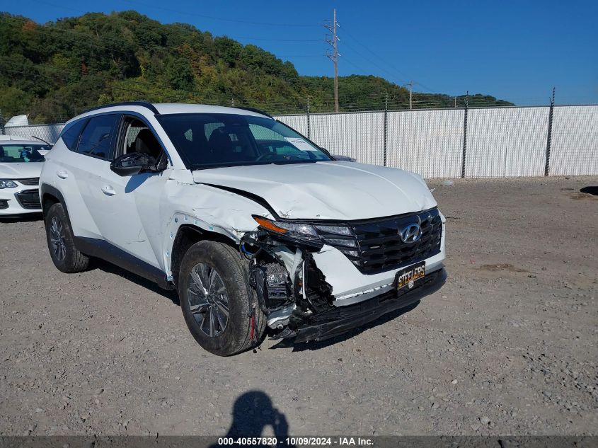 2024 Hyundai Tucson Hybrid Blue VIN: KM8JBCD11RU217478 Lot: 40557820