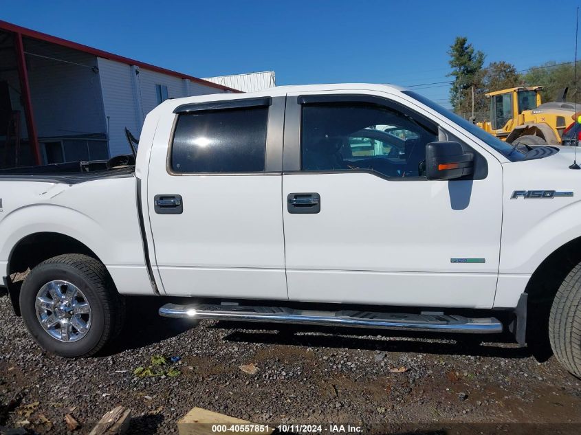 1FTFW1ET2DKG39010 2013 Ford F-150 Xlt