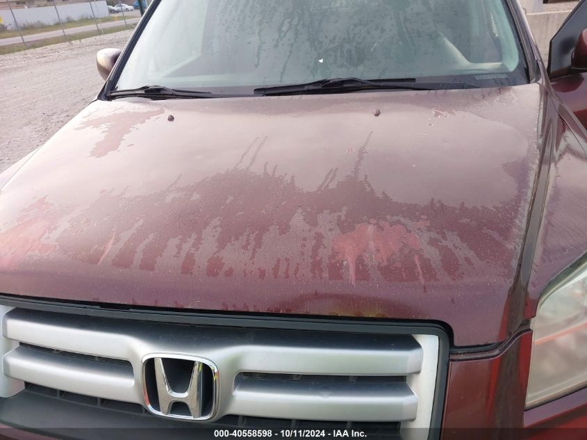 2007 Honda Pilot Ex VIN: 5FNYF18467B012146 Lot: 40558598