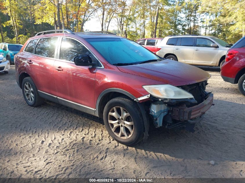 2011 Mazda Cx-9 Touring VIN: JM3TB2CA4B0305096 Lot: 40559216