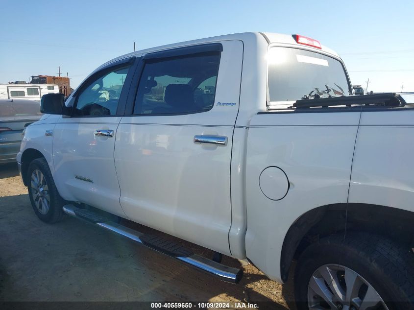 2013 Toyota Tundra Platinum 5.7L V8 VIN: 5TFHW5F14DX289024 Lot: 40559650