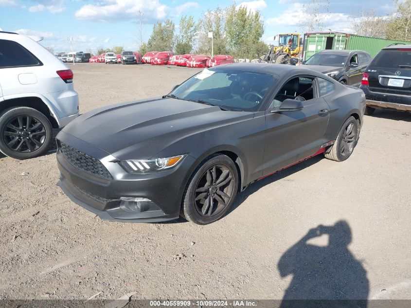 1FA6P8TH6F5319832 2015 FORD MUSTANG - Image 2