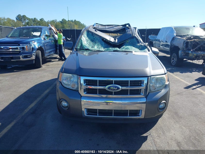 2009 Ford Escape Limited VIN: 1FMCU04G99KC98019 Lot: 40560163
