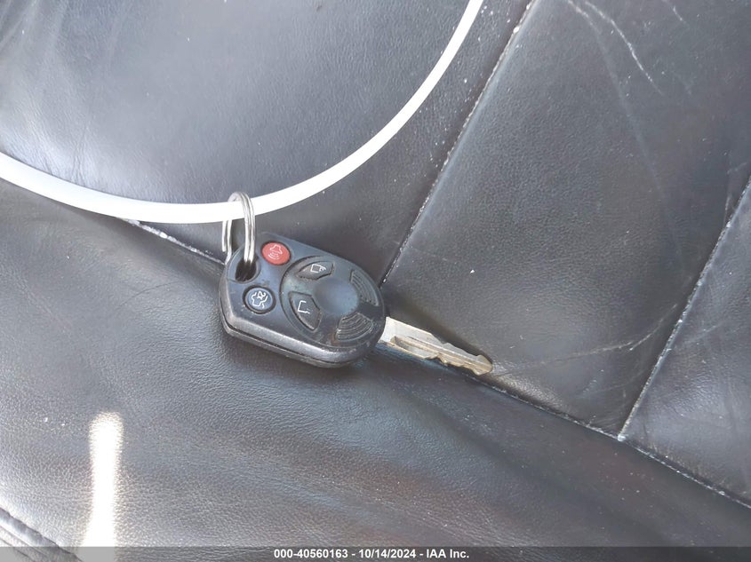 2009 Ford Escape Limited VIN: 1FMCU04G99KC98019 Lot: 40560163