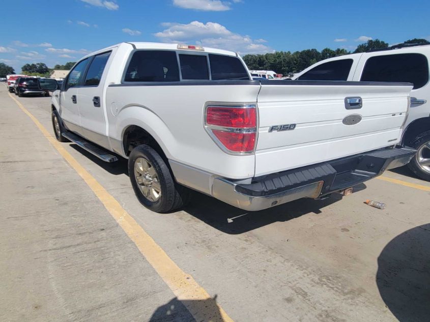 2011 Ford F-150 Xlt VIN: 1FTFW1CF1BFA03892 Lot: 40560991