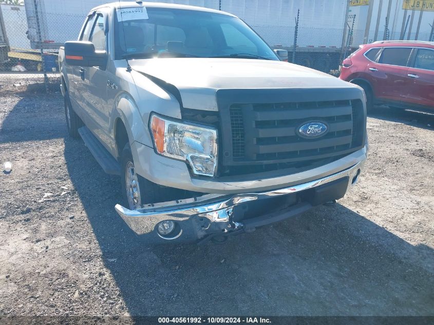 2009 Ford F-150 Stx/Xl/Xlt VIN: 1FTRX14869KB64993 Lot: 40561992