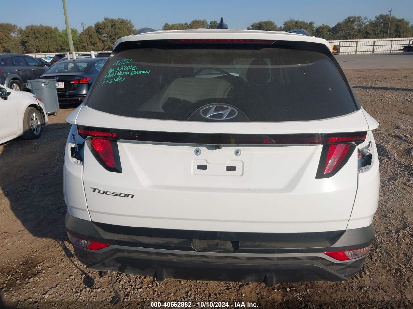 2024 Hyundai Tucson Sel VIN: 5NMJB3DEXRH359293 Lot: 40562882