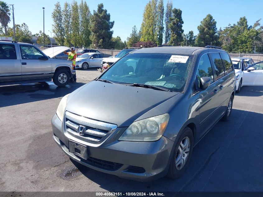 2007 Honda Odyssey Ex-L VIN: 5FNRL38737B063199 Lot: 40563151