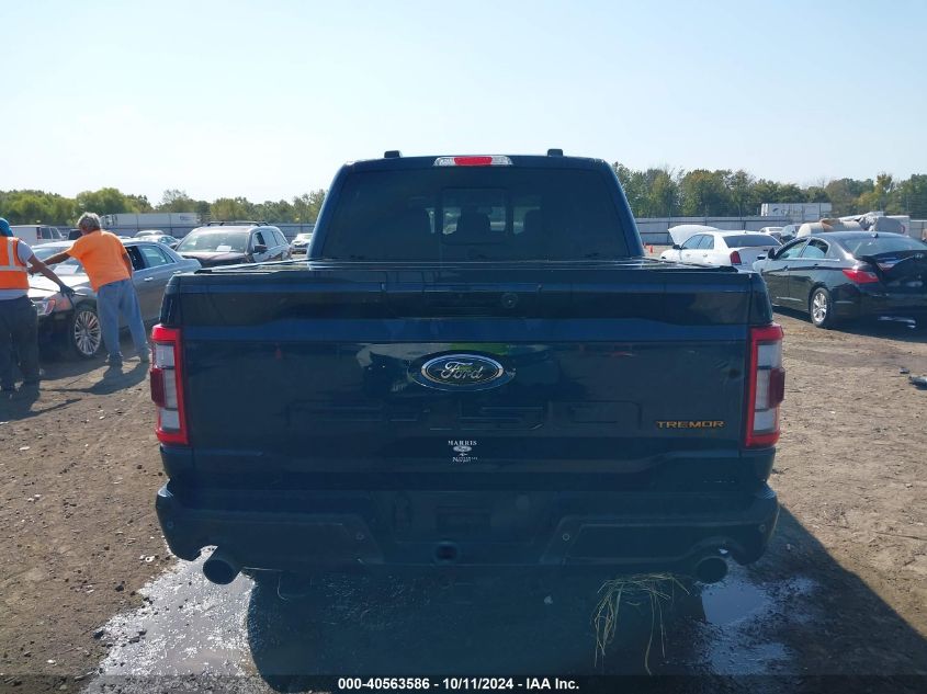 2023 FORD F-150 TREMOR - 1FTEW1E82PFB37229