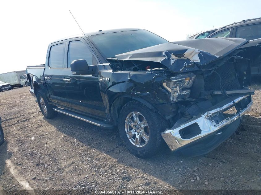 VIN 1FTEW1EF4GFC82626 2016 FORD F-150 no.1