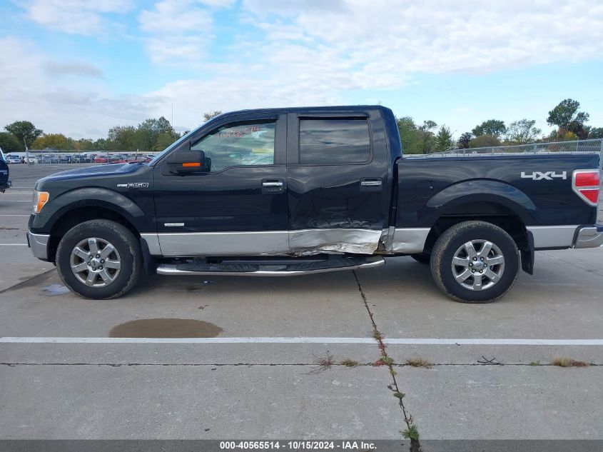 2014 FORD F-150 XLT - 1FTFW1ET6EFA83374