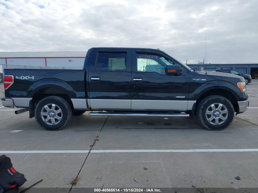 2014 FORD F-150 XLT - 1FTFW1ET6EFA83374