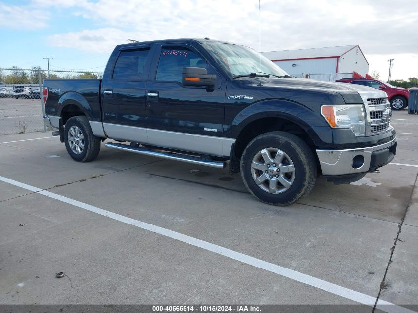 2014 FORD F-150 XLT - 1FTFW1ET6EFA83374