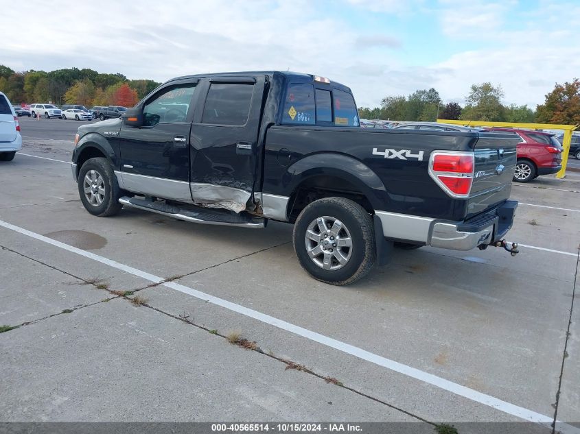 2014 FORD F-150 XLT - 1FTFW1ET6EFA83374