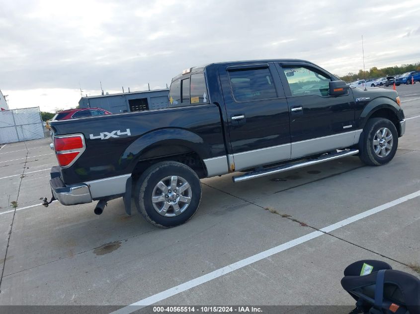 2014 FORD F-150 XLT - 1FTFW1ET6EFA83374