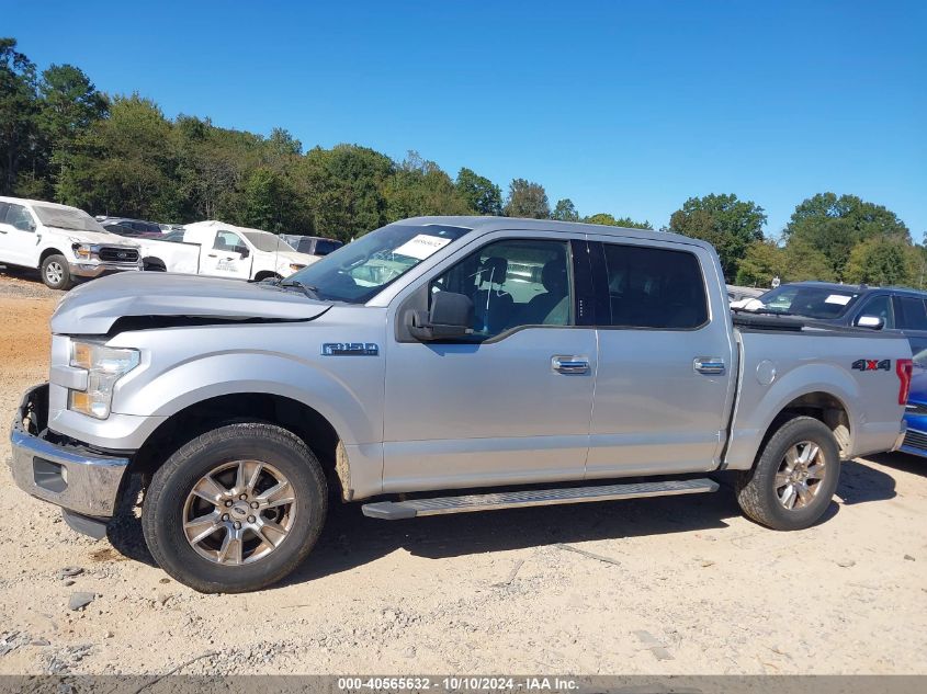 1FTEW1E83FFB19384 2015 Ford F-150 Xlt