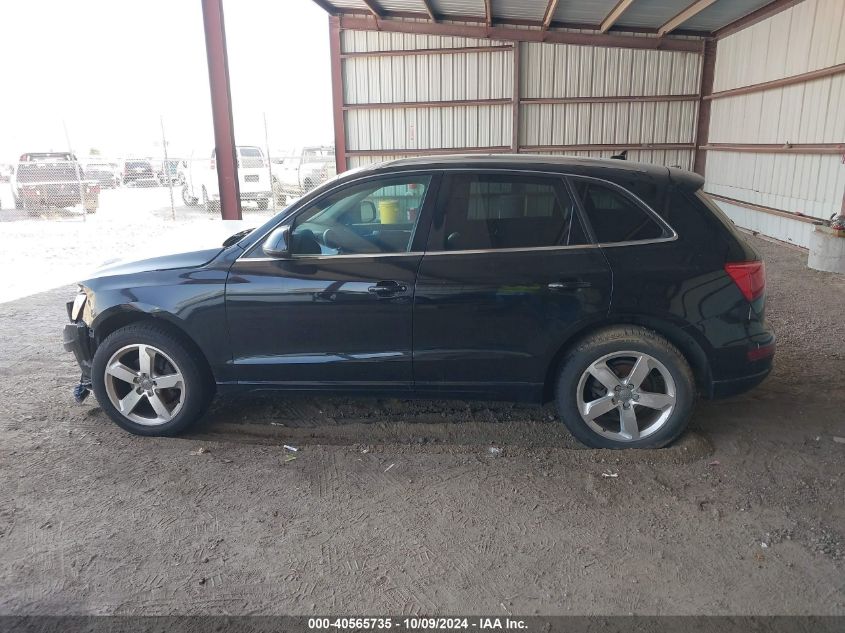 2009 Audi Q5 3.2 Premium VIN: WA1KK78R19A025022 Lot: 40565735