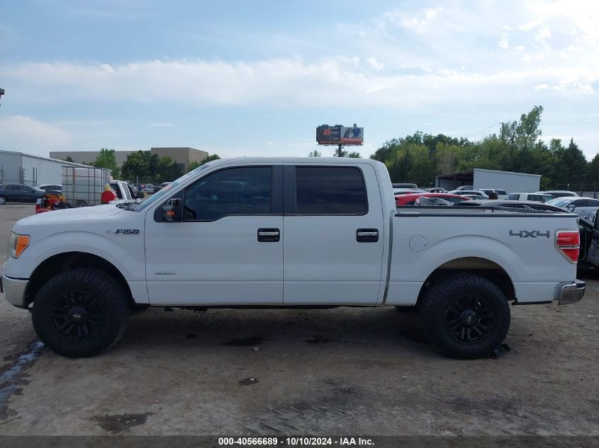 2013 FORD F-150 XLT - 1FTFW1ET8DFC94011