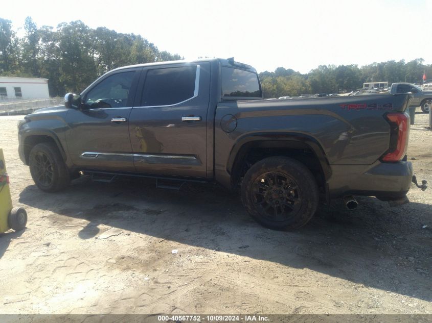 2024 Toyota Tundra 1794 Edition VIN: 5TFMA5DB5RX134000 Lot: 40567752