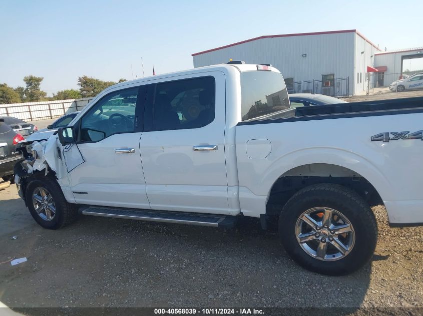 2024 Ford F150 Xlt VIN: 1FTFW3LD7RFA27196 Lot: 40568039