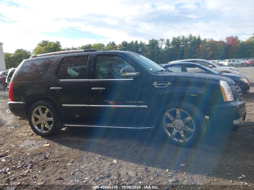 2009 Cadillac Escalade Standard VIN: 1GYFK53299R120302 Lot: 40568310