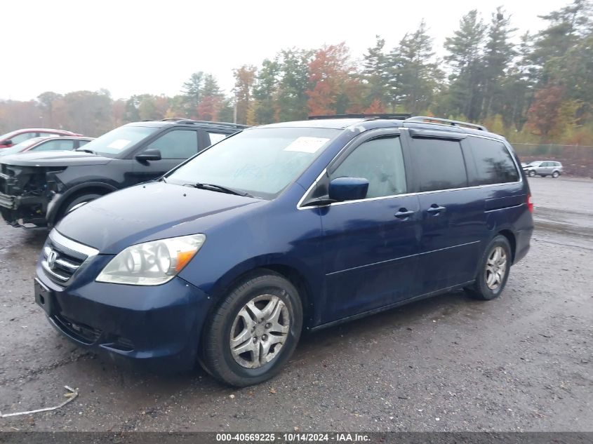 2005 Honda Odyssey Exl VIN: 5FNRL38745B095916 Lot: 40569225