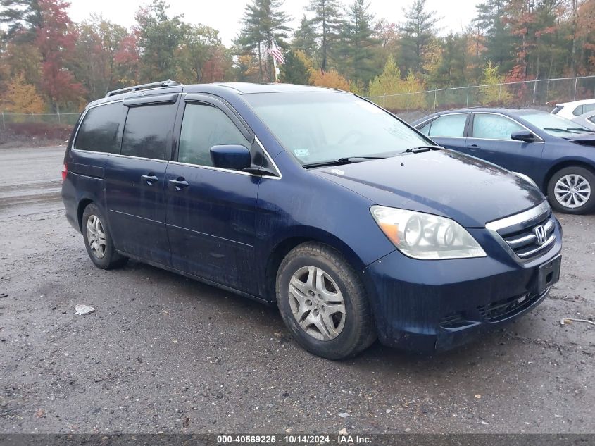 2005 Honda Odyssey Exl VIN: 5FNRL38745B095916 Lot: 40569225