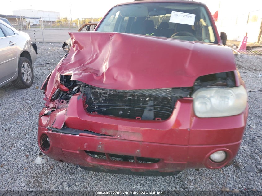 2007 Ford Escape Xlt VIN: 1FMYU03127KA90645 Lot: 40572705