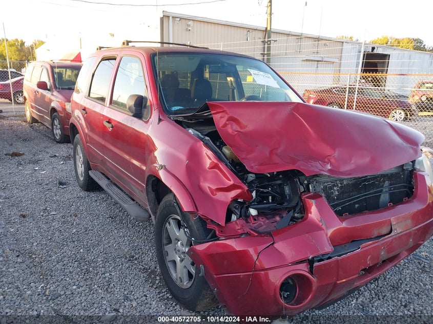 2007 Ford Escape Xlt VIN: 1FMYU03127KA90645 Lot: 40572705