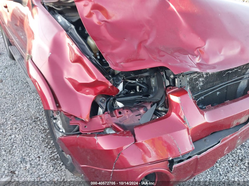 2007 Ford Escape Xlt VIN: 1FMYU03127KA90645 Lot: 40572705