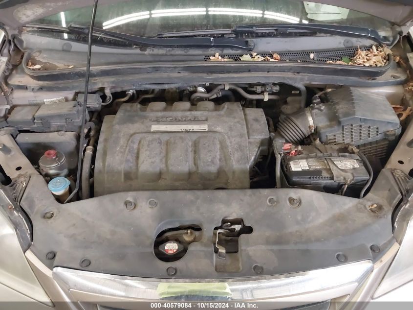 2007 Honda Odyssey Ex-L VIN: 5FNRL38787B446300 Lot: 40579084