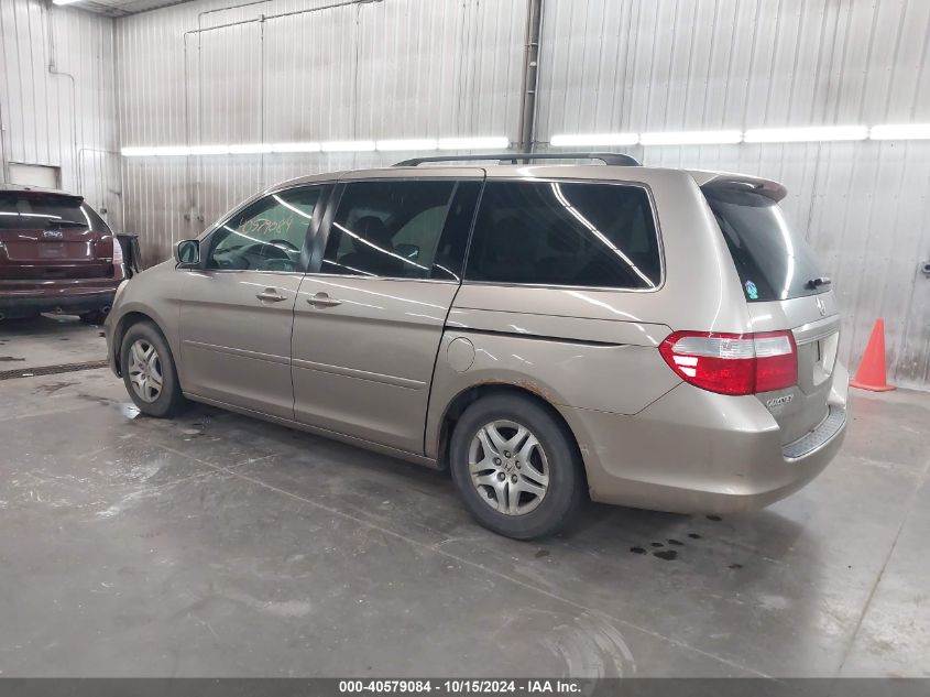 2007 Honda Odyssey Ex-L VIN: 5FNRL38787B446300 Lot: 40579084