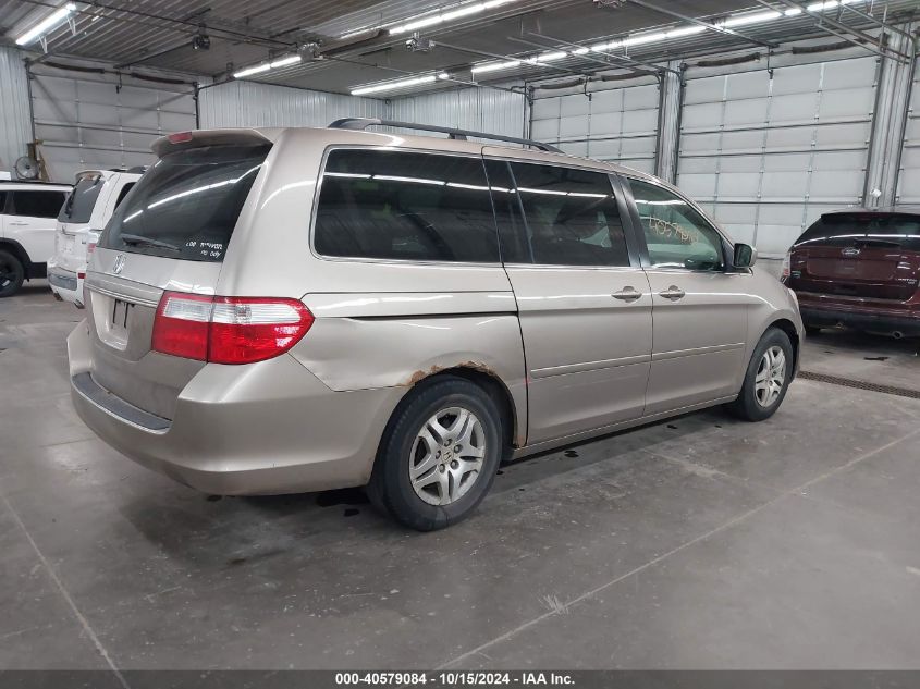 2007 Honda Odyssey Ex-L VIN: 5FNRL38787B446300 Lot: 40579084