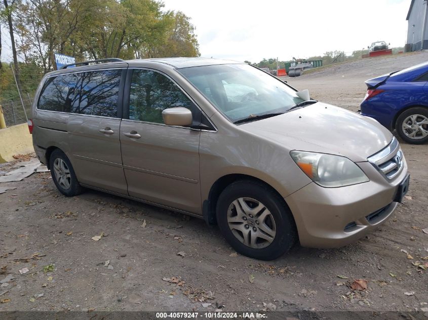 2007 Honda Odyssey Ex-L VIN: 5FNRL38777B132850 Lot: 40579247