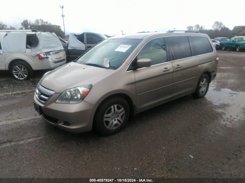 2007 Honda Odyssey Ex-L VIN: 5FNRL38777B132850 Lot: 40579247