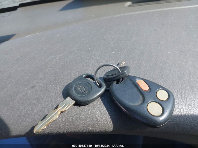 2002 Chevrolet Trailblazer VIN: 1GNDT13S022487503 Lot: 40587189