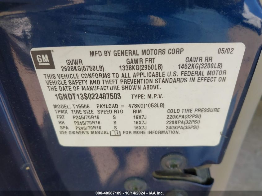 2002 Chevrolet Trailblazer VIN: 1GNDT13S022487503 Lot: 40587189
