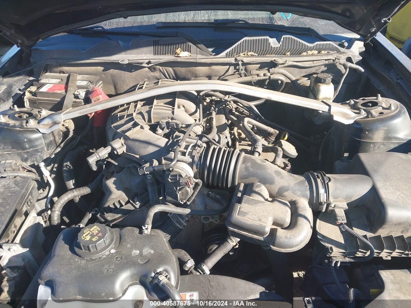 2014 Ford Mustang VIN: 1ZVBP8EM3E5249642 Lot: 40587675