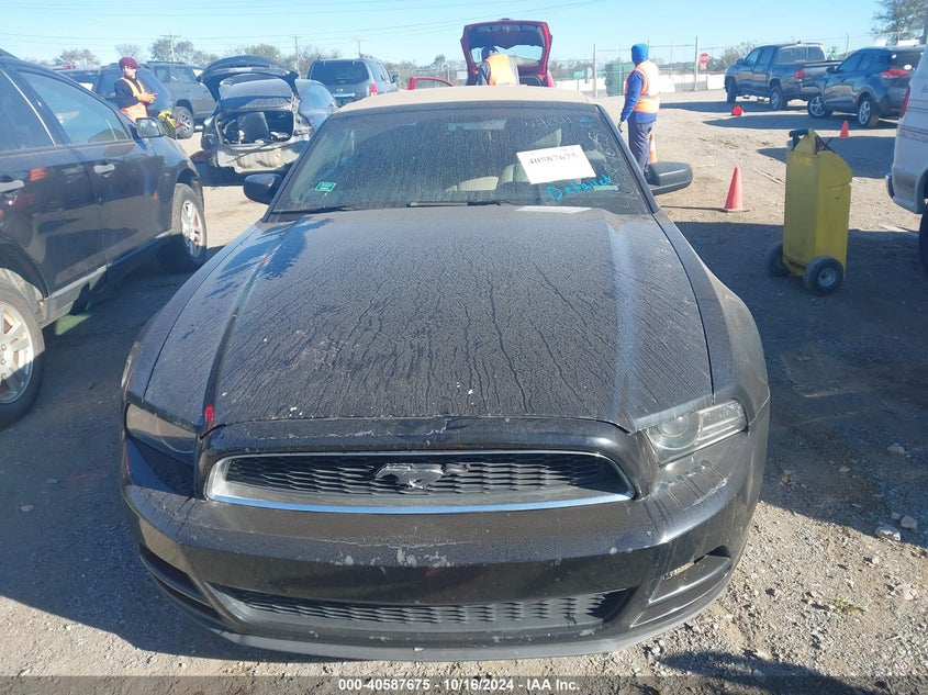 2014 Ford Mustang VIN: 1ZVBP8EM3E5249642 Lot: 40587675