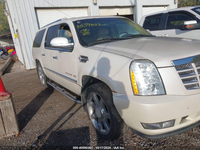 2010 Cadillac Escalade Esv Luxury VIN: 1GYUKHEF6AR18358 Lot: 40590381