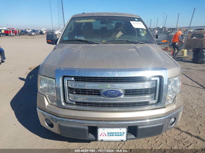 2013 FORD F150 VIN: 1FTFW1CF4DFB01625